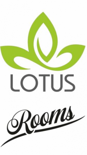 Lotus Rooms